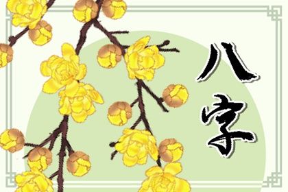 起运年龄怎么理解